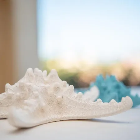 Sardegnaot Vista Mare Piscina E Dom wakacyjny *