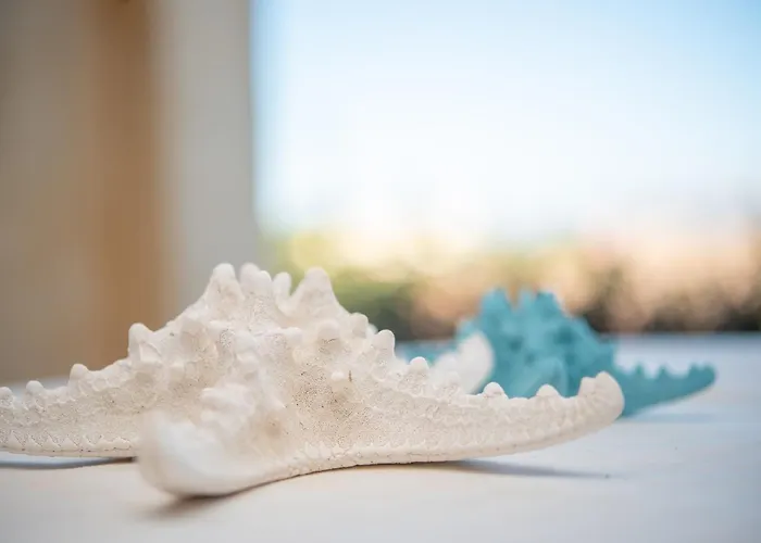 Sardegnaot Vista Mare Piscina E Holiday home *